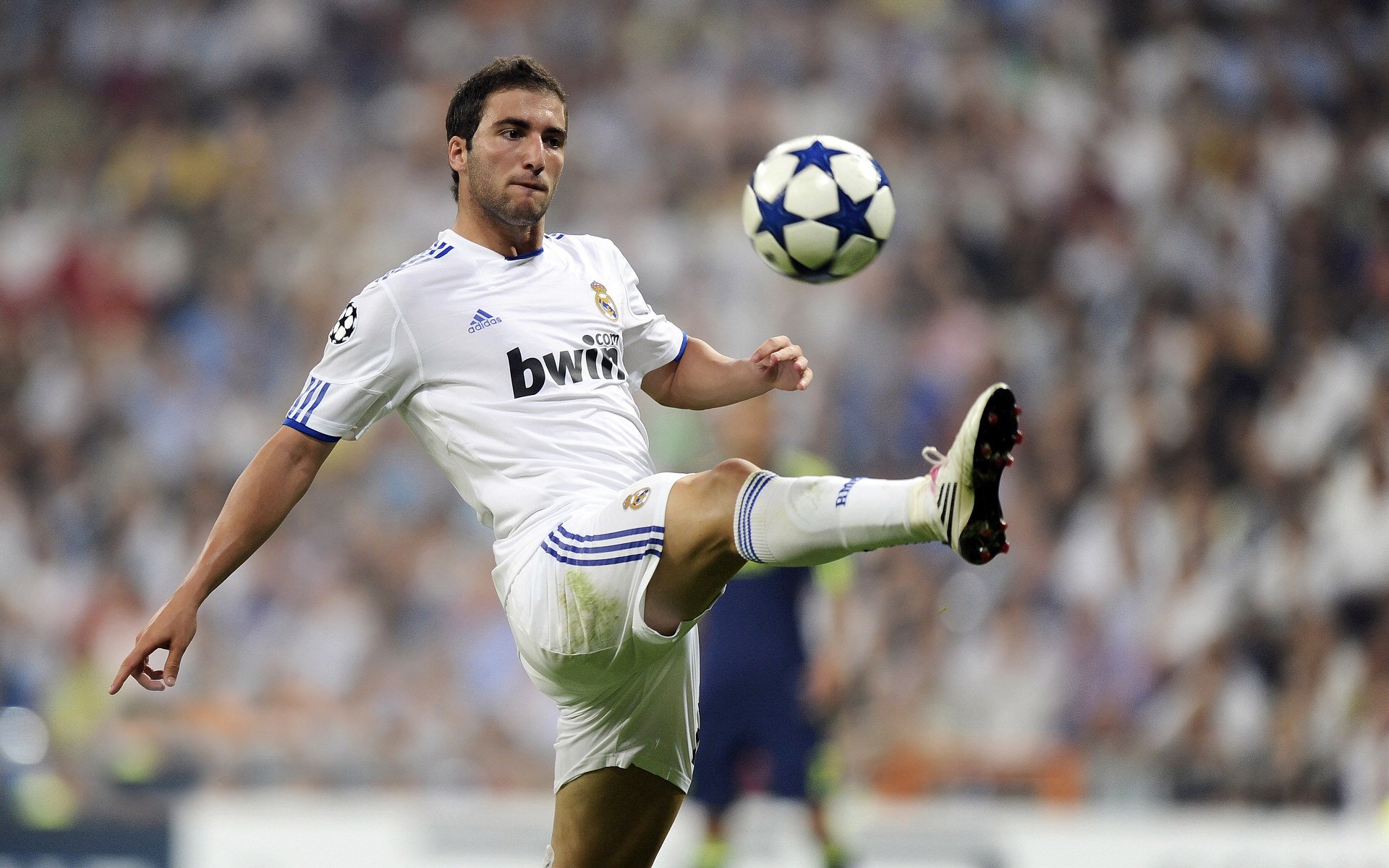 戈贝尔独木成林，广东队力克勇士的战术革命